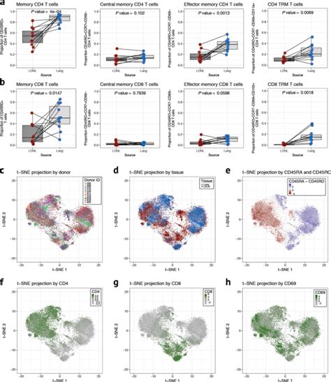 Transcriptional Programming And T Cell Receptor Repertoires Distinguish