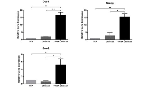 Relative Gene Expression Of Stemness Markers Oct 4 Nanog Sox 2 In Download Scientific