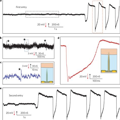 Recording Intracellular Action Potentials A Representative Trace