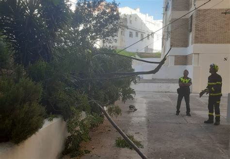 Intervención de bomberos en Arcos de la Frontera por la caída de ramas