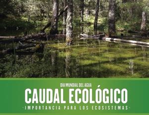 Caudal Ecol Gico Importancia Para Los Ecosistemas