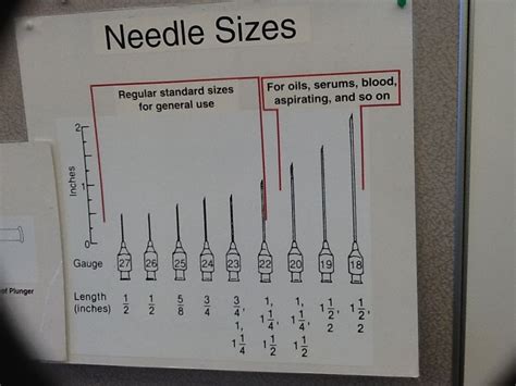 Needle sizes | Oncology nursing, Nursing study, Medical education