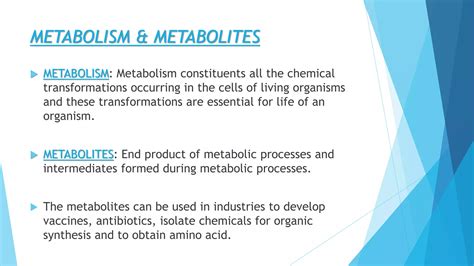 COMPARISON BETWEEN PRIMARY & SECONDARY METABOLITES.pptx