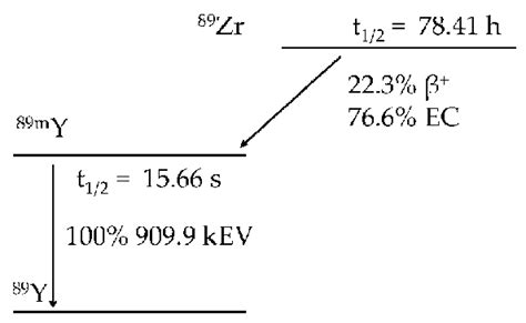 Zirconium-89 decay scheme. Zirconium-89 decays by positron emission and ...