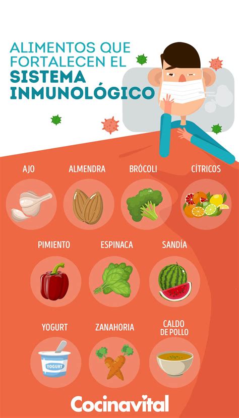 10 Alimentos Que Fortalecen El Sistema Inmunológico Arraytrend