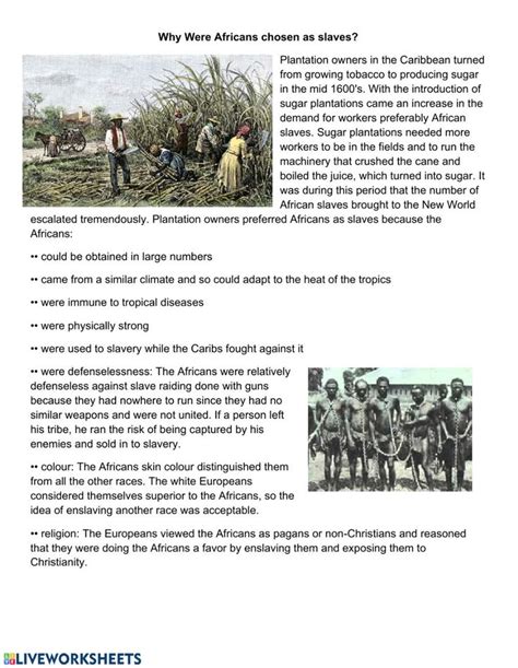 Why Africans Were Chosen As Slaves Interactive Worksheet Slaves