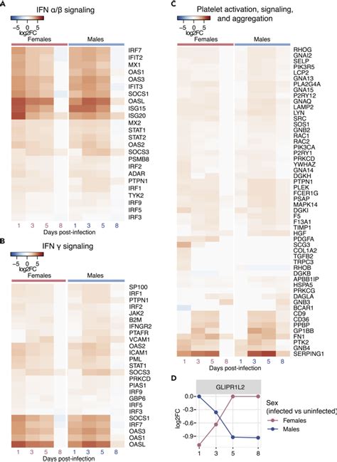 Sex Disparities In Influenza A Multiscale Network Analysis Abstract