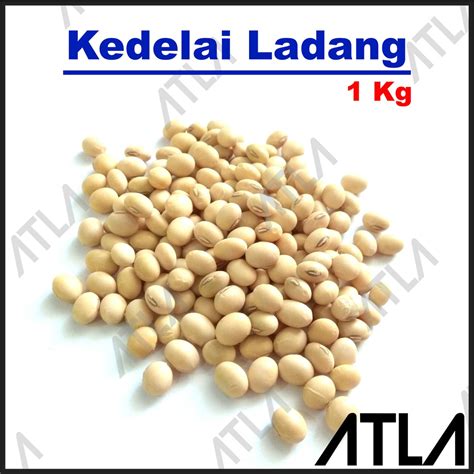 Jual Benih Kacang Kedelai Ladang 1 Kg Bibit Tanaman Biji Sayur Putih