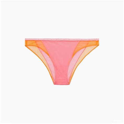 Calvin Klein Bikini Brief Pride