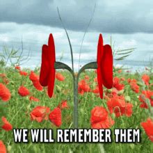 Remembrance Day GIF - Remembrance Day - Discover & Share GIFs