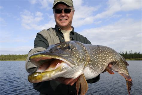 Pike Fishing Best Lures at Hamish Payne blog