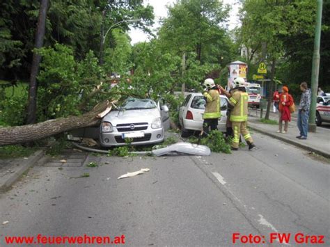 BF Graz Baum stürzte auf fahrenden PKW Feuerwehren at