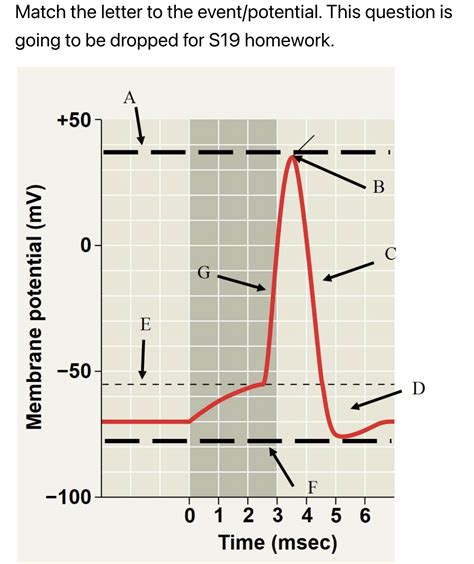 Solved Na+ nernst potential K+ nernst potential threshold | Chegg.com