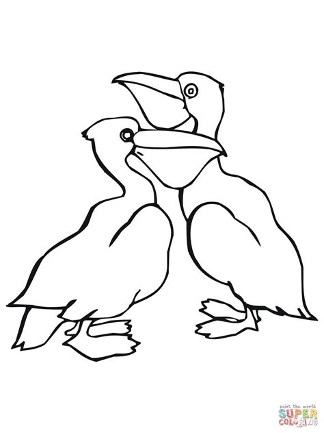 Pelican Coloring Page Sketch Coloring Page