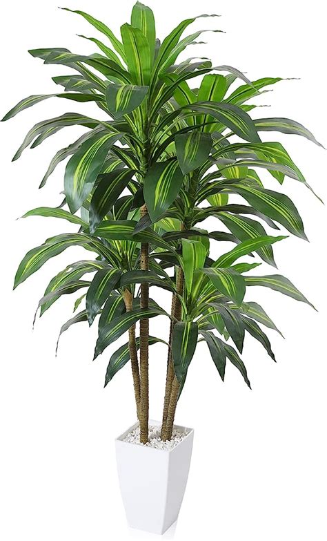 Roble Plantas Artificiales Dracaena De Pies Con Maceta C Nica