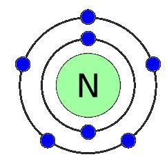 proton: nitrogen atom