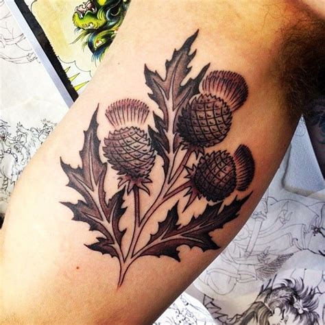 Best 25+ Scottish thistle tattoo ideas on Pinterest | Thistle tattoo, Scottish thistle and ...