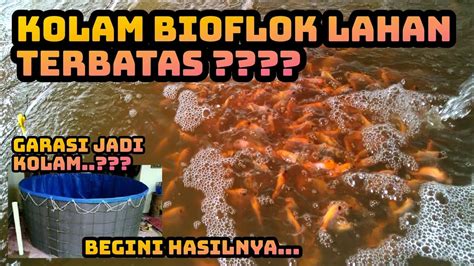 Budidaya Ikan Nila Sistem Bioflok Di Lahan Sempit Skala Rumahan YouTube