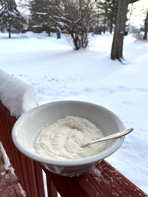 The Best Thing About A Southern Snowfall Is Making Snow Ice Cream