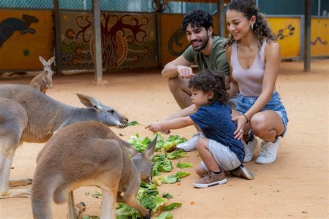 San Antonio Zoo tickets discount | San Antonio | Undercover Tourist