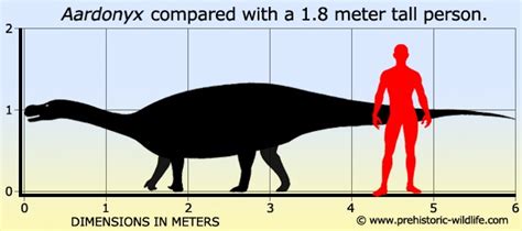 Aardonyx Pictures & Facts - The Dinosaur Database