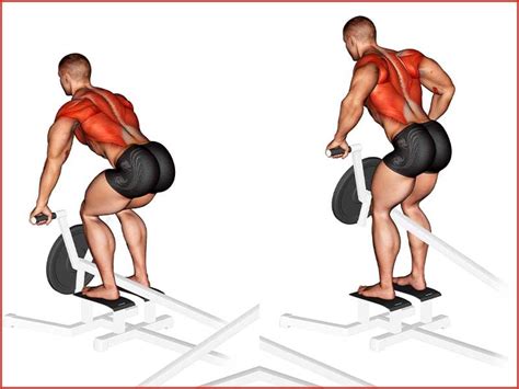 T-Bar Rows: Form & Variants [Instructions] - Old School Labs