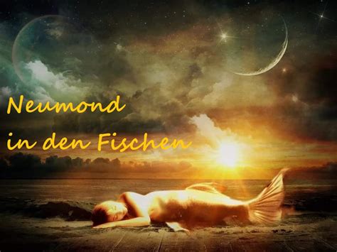 NEUMOND IN DEN FISCHEN Hope4U