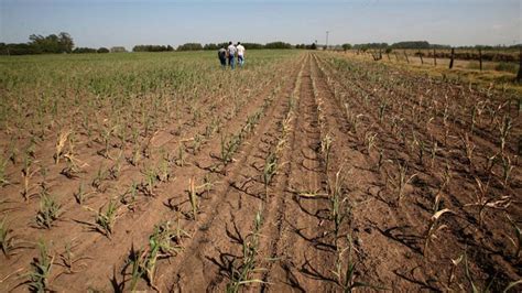 Declaran Emergencia Agropecuaria En Varios Departamentos De La Pampa