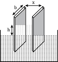 Two Parallel Glass Plates Are Dipped Partly In A Liquid Of Density D