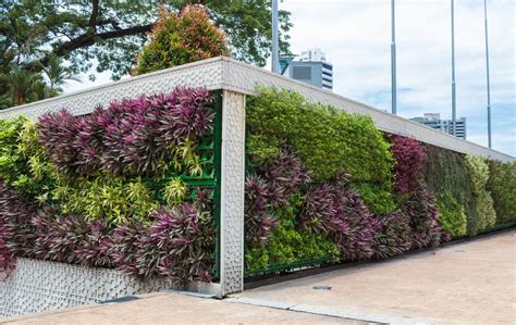 Vertical Gardens Sydney Green Walls Best Vertical Garden Designer