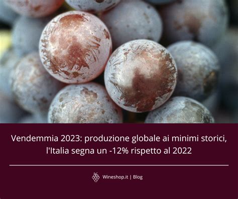 Dati Sulla Vendemmia Produzione Globale Ai Minimi Storici L