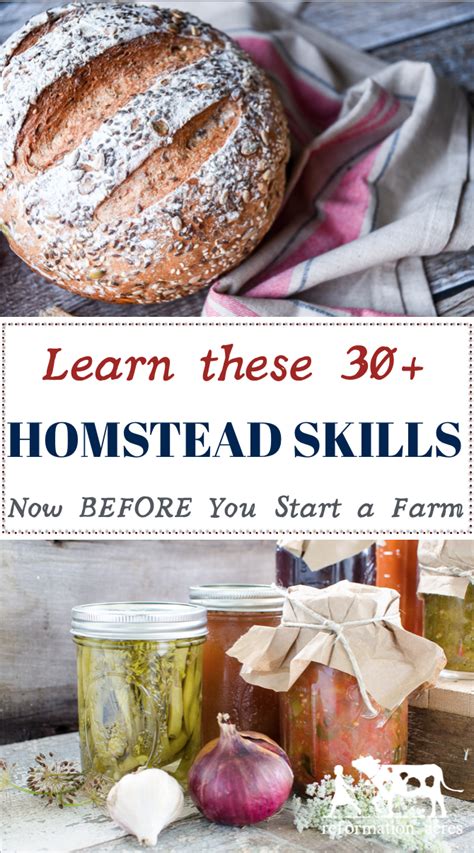 Homesteading Skills To Start Learning Today Wherever You Live Artofit