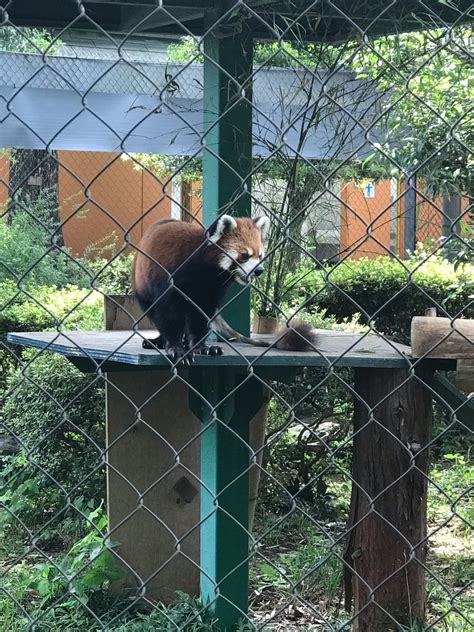 羽村市動物公園 キャスバル兄さんのブログ