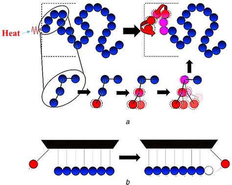 Heat Conduction Process In Polymer Chains A Thermal Conductive