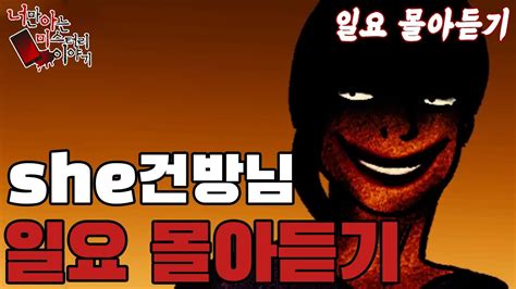 [일요몰아듣기] 무당 She건방님의 소름 돋는 이야기들 [너만아는미스테리한이야기│시청자사연│공포라디오│무서운이야기│미스테리│너아미] Youtube