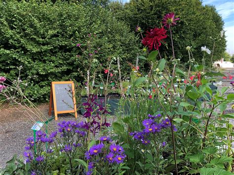 Gardening Blog – August 2023 – English Gardening Club
