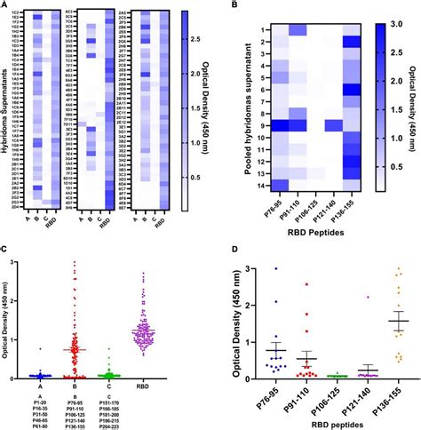 Frontiers Epitope Mapping Of Severe Acute Respiratory Syndrome