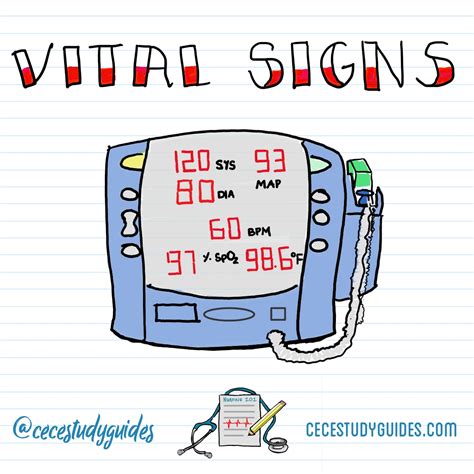 Vital Signs Nursing Notes And Study Guides By Cece