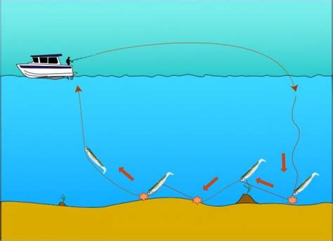 La Pêche à Gratter La Technique La Plus Simple Pour Débuter La Pêche