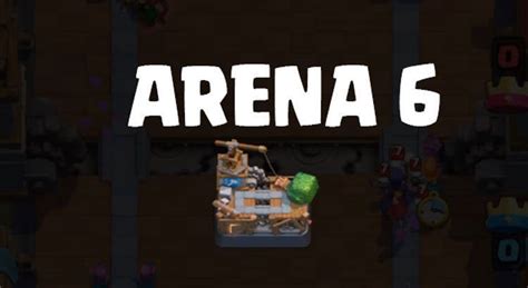 Hog Deck Arena Acetowave