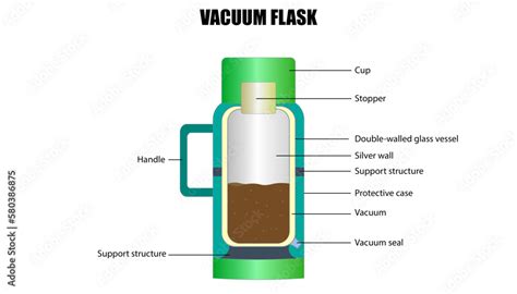 diagram of the vacuum flask with labeled parts Stock Vector | Adobe Stock