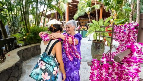hawaii lei greeting  honolulu airport   islands lei