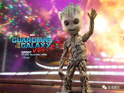 到货美图 HOT TOYS 银河护卫队 小树人咕噜特 幼年版 搜狐大视野 搜狐新闻