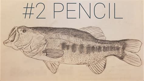 2 Pencil Art Drawing A 4lb Largemouth Bass Youtube