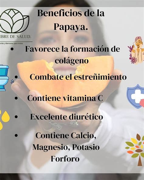 Beneficios de la Papaya Nutricion plandealimentación trofología