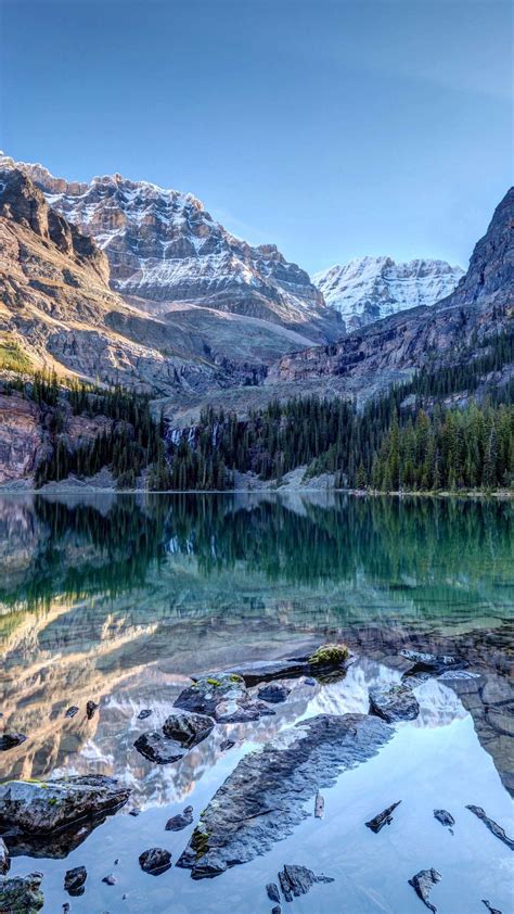 分享几张2K原图照片给花粉俱乐部的朋友们 - 华为P40系列分享交流 花粉俱乐部