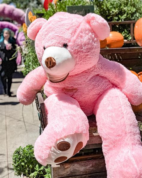 Sweet Pink Giant Teddy Bear 160CM 63 Inches Best Gift Idea Etsy