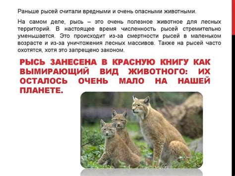 3 класс "Зеленые страницы" виды и группы животных, примеры как описать?