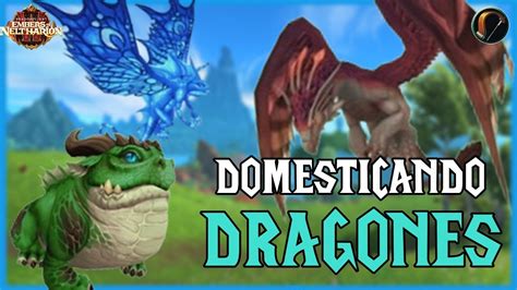 Domesticando DRAGONES Mascotas De Cazador World Of Warcraft