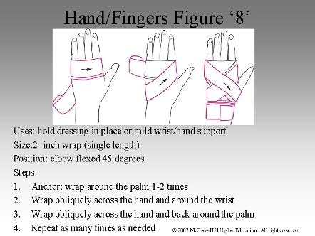 Types of Bandages Flashcards | Quizlet